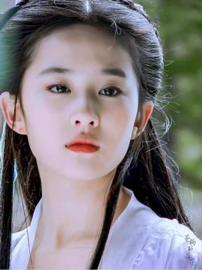 Lưu Diệc Phi trong mắt truyền thông và người hâm mộ