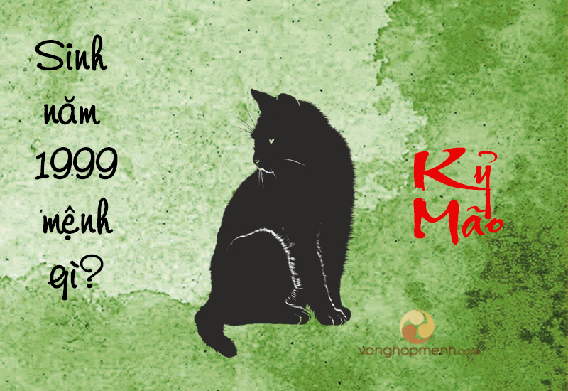 1999 mệnh gì - Tổng quan tử vi tuổi Kỷ Mão 1999