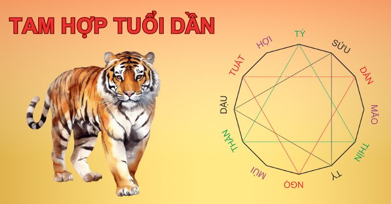 Tuổi Dần kỵ với tuổi nào - 1. Tuổi Dần xung khắc theo nguyên lý Tứ Hành Xung Tuổi Dần kỵ với tuổi nào - 1. Tuổi Dần xung khắc theo nguyên lý Tứ Hành Xung