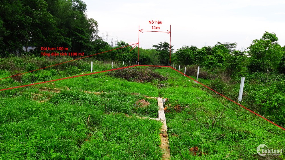 Bán đất Côn Đảo - Yếu tố ảnh hưởng đến giá đất Bán đất Côn Đảo - Yếu tố ảnh hưởng đến giá đất