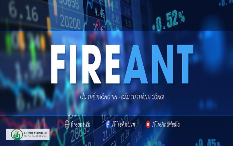 Fireant là gì - Tính năng nổi bật dành cho nhà đầu tư Fireant là gì - Tính năng nổi bật dành cho nhà đầu tư