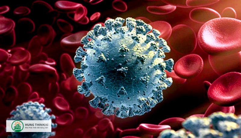 Triệu chứng covid - Dấu hiệu gợi ý mạnh tới COVID Triệu chứng covid - Dấu hiệu gợi ý mạnh tới COVID