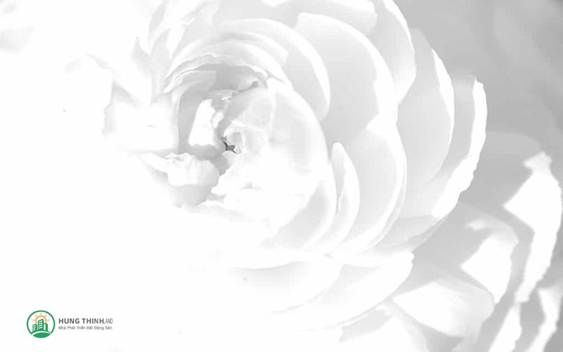 Ý nghĩa màu trắng - Khởi đầu mới và cơ hội Ý nghĩa màu trắng - Khởi đầu mới và cơ hội