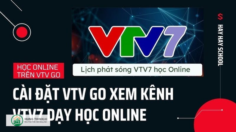 Review vtvgo - Review vtvgo - Tổng quan và đối tượng phù hợp