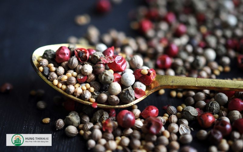 giá tiêu hôm nay - Chính sách – tiêu chuẩn nhập khẩu giá tiêu hôm nay - Chính sách – tiêu chuẩn nhập khẩu