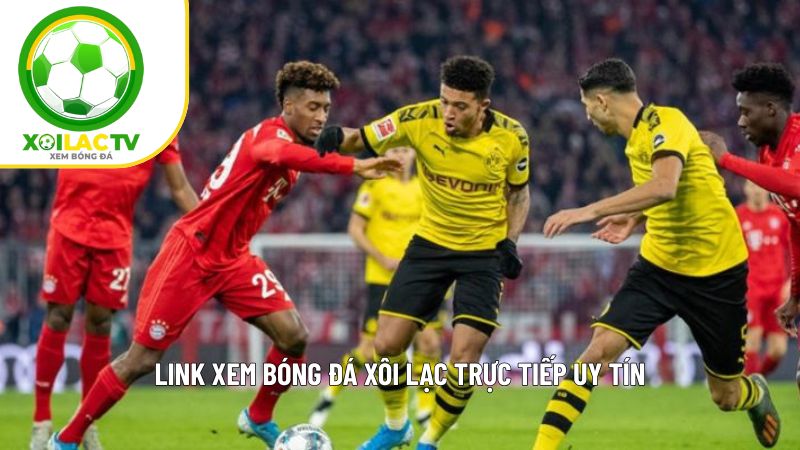 Chia sẻ chi tiết cách truy cập Xoi lac tv khi bị chặn