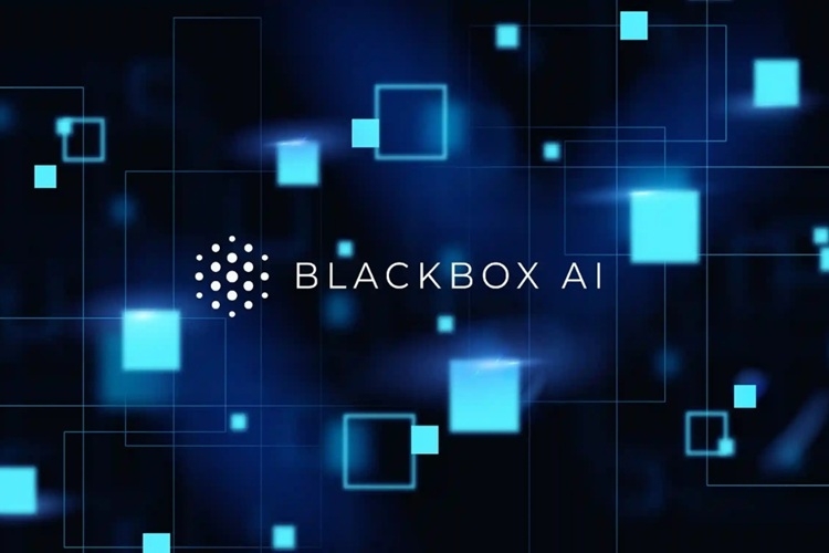 Blackbox AI - Kết hợp review thủ công để giữ chất lượng và tính nhất quán
