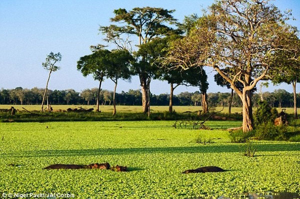 Tiến trình biến đổi khí hậu - Công nghiệp hóa và cú hích từ nhiên liệu hóa thạch Tiến trình biến đổi khí hậu - Công nghiệp hóa và cú hích từ nhiên liệu hóa thạch