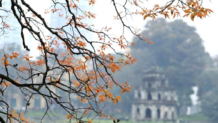 Trò chơi của google về năm Ất Tỵ - Biểu tượng tuổi Ất Tỵ trong game