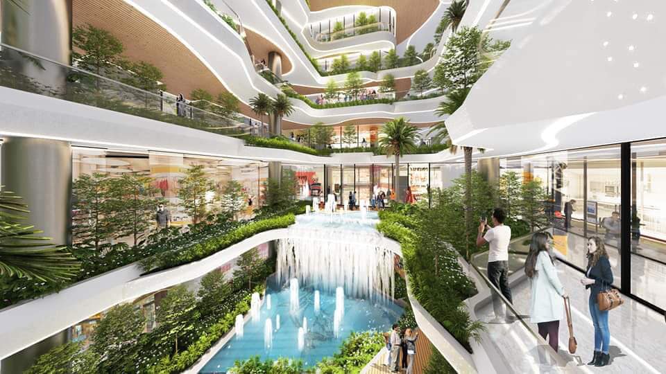 King crown infinity - Môi trường sống phù hợp dài hạn King crown infinity - Môi trường sống phù hợp dài hạn